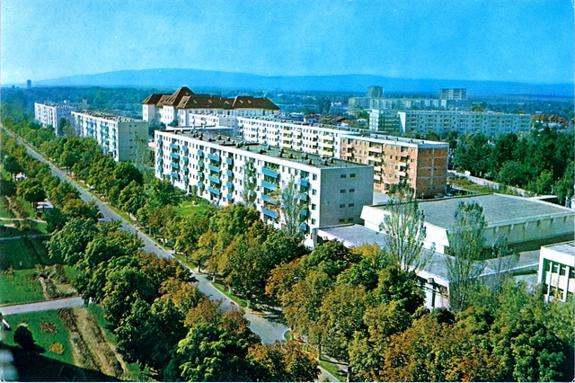 1176 - Buzau. Cartierul Crang
